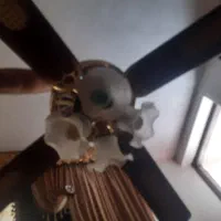 دو عدد پنکه چوبی اصل|پنکه و تصفیهکنندهٔ هوا|ایذه, |دیوار