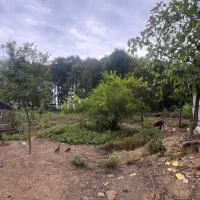 زمین مسکونی روبروی تالاب سوختکوه|فروش زمین و ملک کلنگی|لاهیجان, شیخ زاهد|دیوار