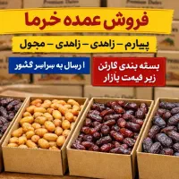 فروش مستقیم خرما ، عمده