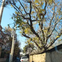 فروش منزل ویلای590متری عظیم قدوسی غربی/تاپ لوکیشن