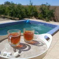 ویلا باغ شاهزاده علی اکبر