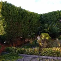 علفتراشی  بریدن درخت وکلیه کارهای  باغبانی|خدمات باغبانی و درختکاری|نوشهر, |دیوار