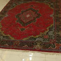فرش|فرش|سلماس, |دیوار