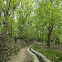 تورگشت وگذارمخصوص بانوان