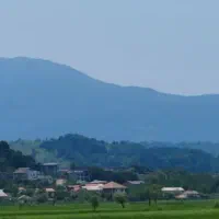 250متر-زمین-مسکونی-لاهیجان-به-قیمت-ترین-پلاک