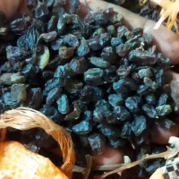 کشمش آفتابی عالی|خوردنی و آشامیدنی|تاکستان, |دیوار