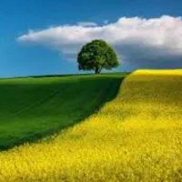 فروش-زمین-در-دهکده-های-توریستی-آلمان-بیج
