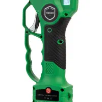 هرس کاری درختان