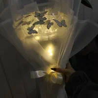 بوکت پروانه بهترین هدیه و باکیفیت