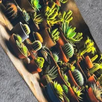 نمگیر|سفره، حوله، دستمال آشپزخانه|قم, قلعه کامکار|دیوار