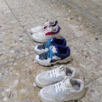 کتانی زنانه|کیف، کفش، کمربند|رشت, فلسطین|دیوار