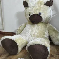 خرس بزرگ|اسباب‌‌بازی|قم, بنیاد|دیوار