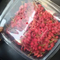 زرشک پفکی اعلا