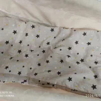 گهواره دوقلو
