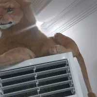 عروسک|اسباب‌بازی بچه|اهواز, بهزاد شهر|دیوار