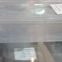 ظرف پلاستیکی|ظروف نگهدارنده، پلاستیکی، یکبارمصرف|مشهد, رضاییه|دیوار