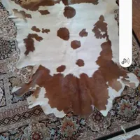 پوست گاو درجه ۱
