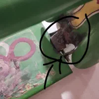 اسکوتر|دوچرخه، اسکیت، اسکوتر|قم, شهدا|دیوار