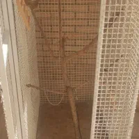 قفس آهنی|لوازم جانبی حیوانات|شاهینشهر, فردوسی|دیوار