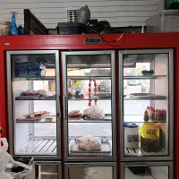 یخچال مرغی|یخچال و فریزر|شیراز, شهرک کوشکک|دیوار