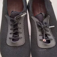 پیراهن کار (کفش مردانه رایگان )|حراج|هشتگرد, فاز ۷ مهستان|دیوار