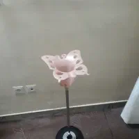 جاشواری طرح گل