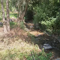 ویلاباغ منحصربفرددرهزارود|فروش خانه و ویلا|طارم, |دیوار