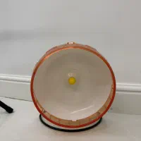 چرخ و فلک سایز بزرگ همستر و ابخوری