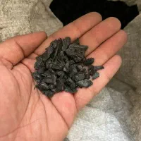 مواد پلاستیک (پلی آمید) آسیابی