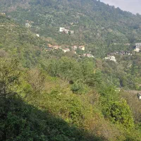 فروش آپارتمان جنگلی سرولات بغل خاورخانم|فروش آپارتمان|چابکسر, |دیوار