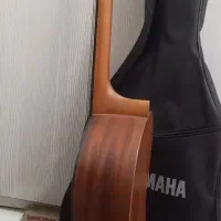 گیتار پارسی m2|گیتار، بیس، امپلیفایر|محمدیه-قزوین, |دیوار