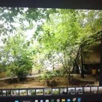 فروش خانه باغ طزرجان زیر قیمت بازار به علت مهاجرت|فروش خانه و ویلا|تفت, |دیوار