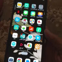 نت13پروشیامی