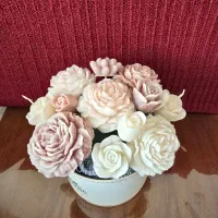 گل شمع|کلکسیون و سرگرمی|اصفهان, مهرآباد|دیوار