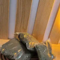 شوید نعنا پونه