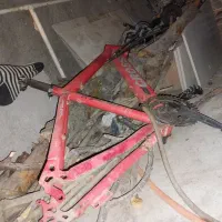 تنه دوچرخه۲۶
