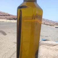 روغن زیتون اصل رودبار