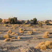 ۳ قطعه زمین مسکونی بلوار نخل ، کنار مسجد|فروش زمین و ملک کلنگی|ایرانشهر, |دیوار