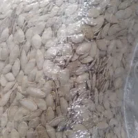 کدو گوشتی ممتاز|عمده‌فروشی|سنندج, |دیوار