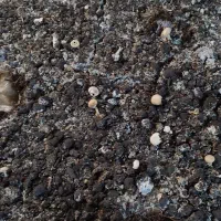 کمپوست برای کشاورزی و زراعت