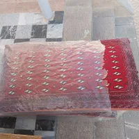 پشتی