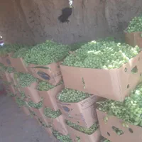 آبغوره درجه یک طبیعی|خوردنی و آشامیدنی|تهران, خلیج فارس|دیوار