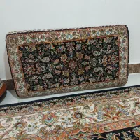 ۶عددپشتی سالم