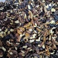 مغز گردو فسنجونی