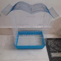 قفس