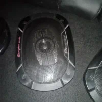 باند پایونیر|قطعات یدکی و لوازم جانبی|تربتحیدریه, مظفریه|دیوار