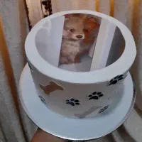 کیک خانگی عالیشهر|خوردنی و آشامیدنی|بوشهر, |دیوار