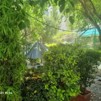 ۴۵۰متر دربست مناسب کار و سکونت