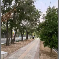 رهن کامل واحد ۱۰۵متری نوساز کلید اول سه برفضای سبز|اجارهٔ آپارتمان|شیراز, صاحب الزمان|دیوار