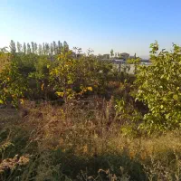 فروش هزار متر باغ در بهترین جای زرنق